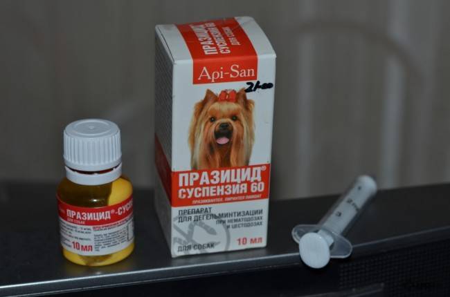 Suspensão Prazitsid plus para dosagem de cães