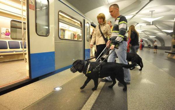 Cães-guia no metrô