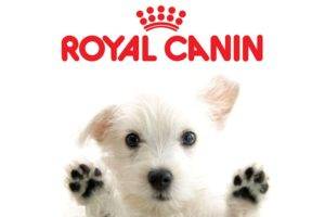 Comida de cachorro Royal Canin (Royal Canin)