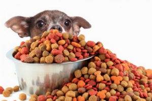 Comida para cães hipoalergénicos